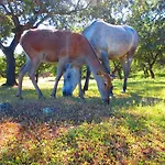 Casa Rural El Lago Cerro Muriano - Reserva De Guadanuno Ferienhaus Córdoba