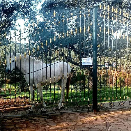 Casa Rural Hacienda El Lago Сasa de vacaciones Córdoba